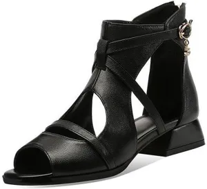 AUNTHUI Women'S Open Toe Back Zipper Block Heel Sandals,Hollow Breathable Casual Walking Non-Slip Fish Mouth Gladiator Chunky High-Heeled Sandals,Summer Dress Chunky Heel Sandals