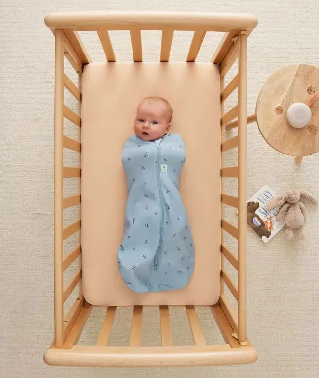 ErgoPouch - Cocoon Swaddle Bag 0.2 TOG - Dragonflies