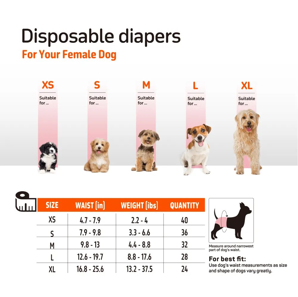 Fofos Diaper for Male Dog (20x25cm)